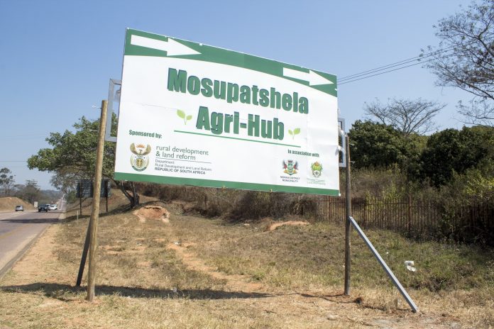 The seemingly bottomless moneypit often referred to as the Masupatshela Agri-Hub, by politicians and their cadres. Photo: Joe Dreyer